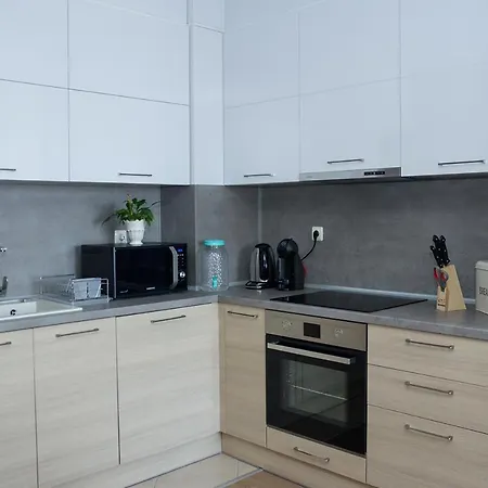 115 - Brand New 1-bd Apt. W/ Amazing Terrace