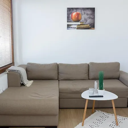 115 - Brand New 1-bd Apt. W/ Amazing Terrace